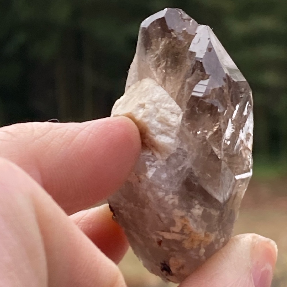 Smoky Quartz with Aegirine from Malawi, South Africa - Picture 4 of 15